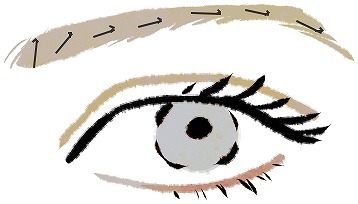 眉毛の生える向き