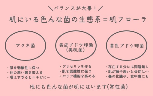 肌の常在菌・肌フローラのイメージと美肌菌など代表的な菌の説明