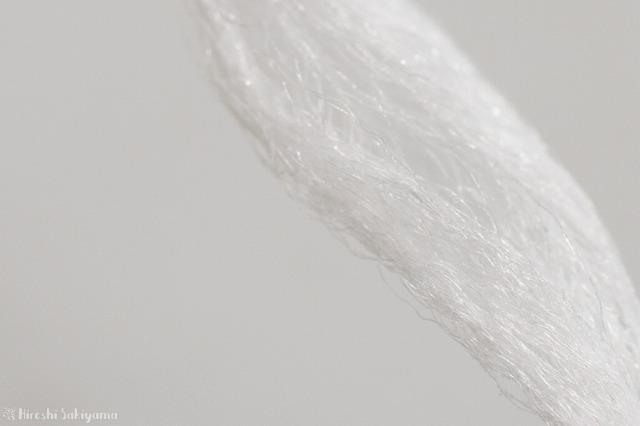 オーラルケア「フロアフロス」の糸のマクロ撮影